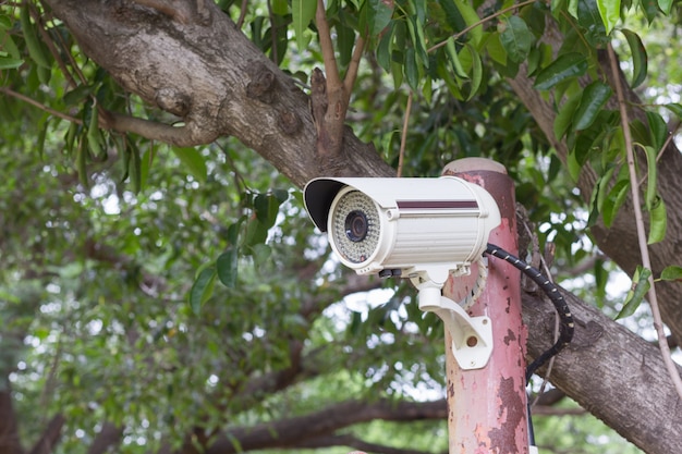 Caméra de vidéosurveillance