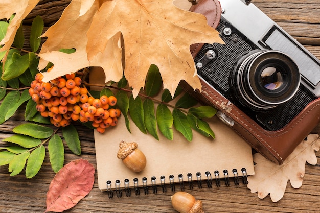 Caméra vue de dessus avec ordinateur portable et feuilles