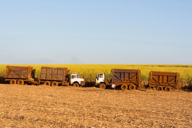 Camion de canne à sucre sur la route