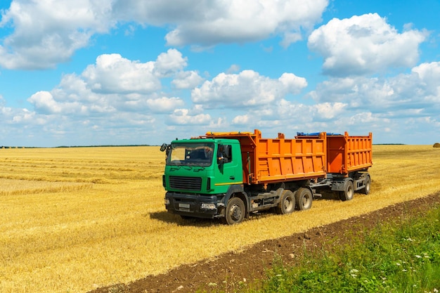 Un camion céréalier traverse le champ pour le déchargement La carrosserie du camion est remplie de grains de blé Récolte récolte stockage séchage du grain Production de farine Une affaire de céréales sur la mer Noire