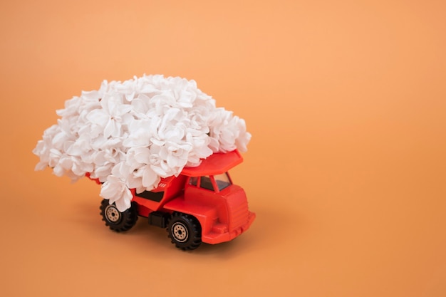 Camion jouet en orange, chargé de lilas blancs sur fond coloré