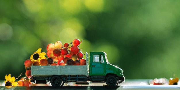 Camion avec raisins et fleurs Concept agricole Espace copie