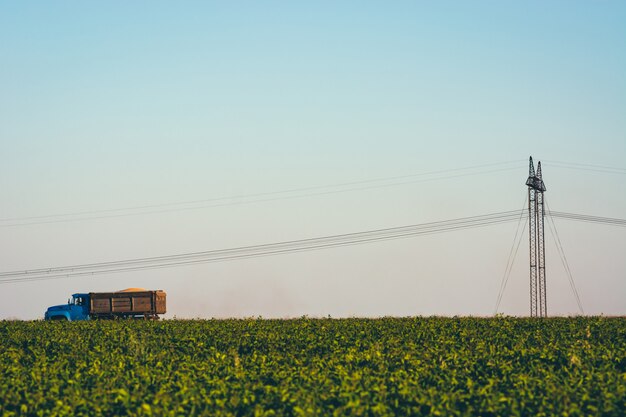 Le camion traverse le champ sous des fils électriques. Vieux camion sur route parmi l'herbe près des piliers avec des fils électriques. Les lignes électriques passent à travers les champs. Image minimaliste avec de l'herbe verte et un ciel bleu.