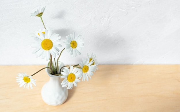 Camomille dans un vase sur fond blanc fleurs