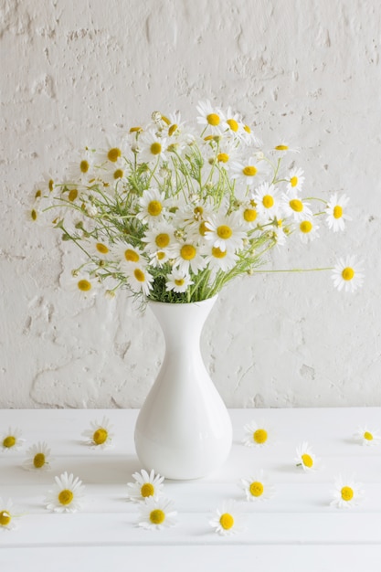 Camomille dans un vase sur fond blanc