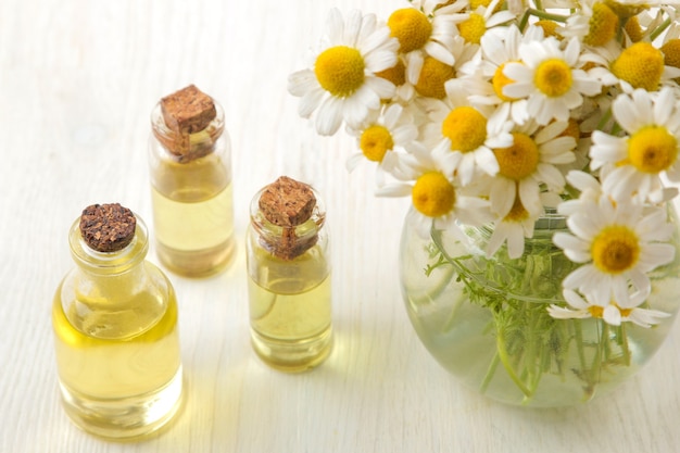 Camomille. Petites fleurs médicinales de camomille aux huiles aromatiques sur une table en bois blanc. fermer