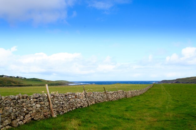 Campagne écossaise, clôture du bétail. Mur de pierre en perspective. Beau panorama rural d'Ecosse