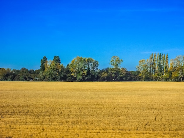 Campagne HDR près de Cambridge