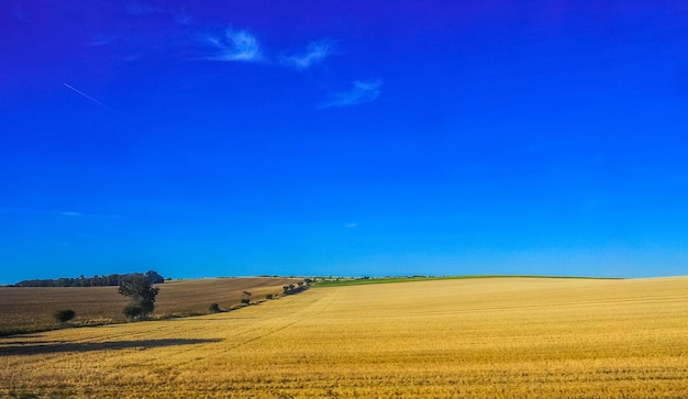 Campagne HDR près de Cambridge