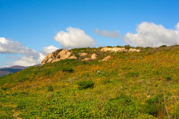 Campagne de Leonforte, Sicile