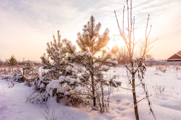 Campagne de paysage d'hiver rustique calme au coucher du soleil.