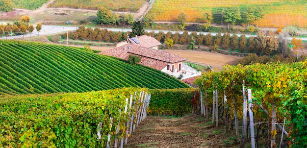 Campagne toscane, célèbre région viticole d'Italie