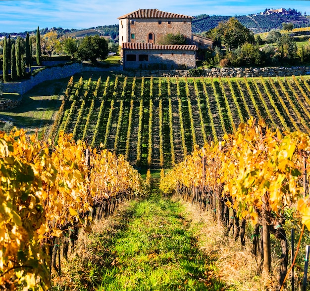 Photo campagne toscane traditionnelle, paysage avec vignobles d'automne. italie