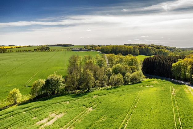 Campagne verdoyante du Jutland au Danemark avec espace de copie Paysage rural de ferme biologique durable composé de buissons d'herbe et d'arbres tranquilles Bois paisible avec des vues panoramiques apaisantes et apaisantes