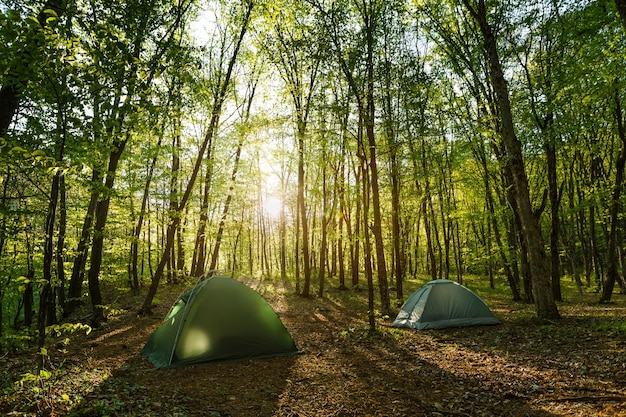 Campement de deux tentes au milieu d'une belle forêt