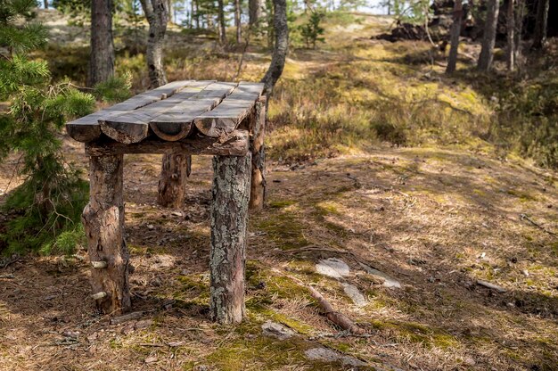 Camper sur la rive rocheuse du lac Ancienne table en bois des pins en forêt