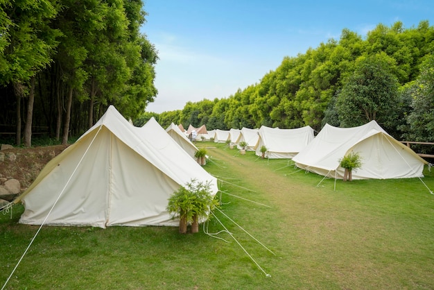 Le camping dans la forêt est couvert de tentes