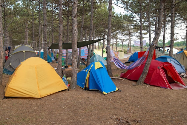 Camping en forêt avec de nombreuses tentes