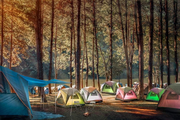 Photo camping et tente sous la forêt de pins près du lac avec une belle lumière le matin