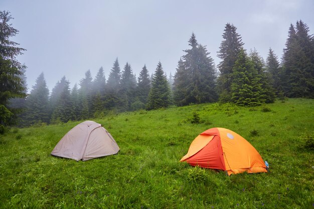 Camping et tentes en forêt à la montagne