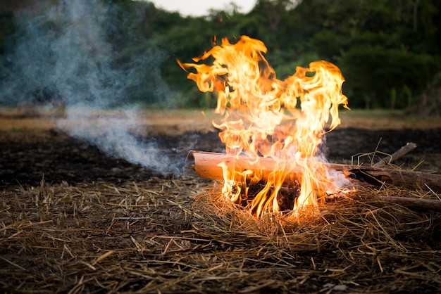 Photo le camping tire sur le sol en utilisant du bambou et de la paille comme combustible.