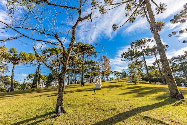 CAMPOS DO JORDAO, BRÉSIL - 04 juillet 2017: Jardin du Musée Felicia Lierner