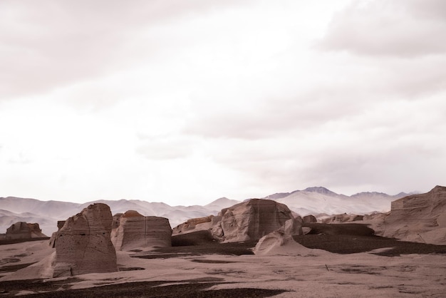 Photo campos de piedra pomez en cordillera de los andes catamarca argentine