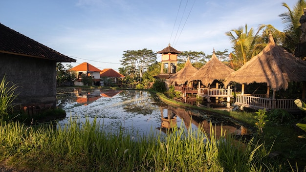 Campuhan Ridge Walk à Ubud, Bali, Indonésie