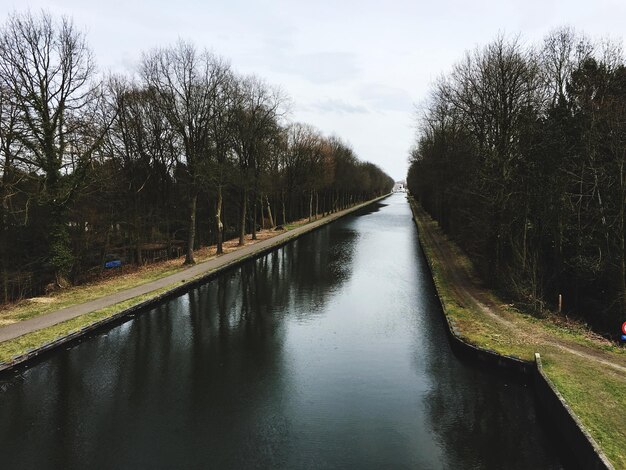 Photo canal au milieu d'arbres nus contre le ciel