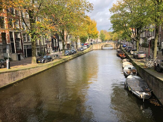 Canal au milieu des arbres de la ville