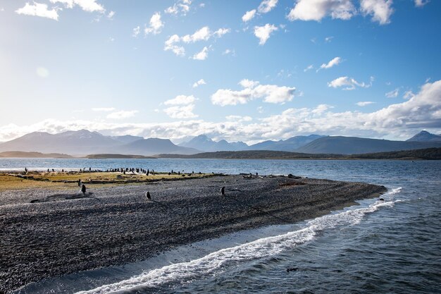 Photo canal de beagle ushuaia patagonie argentine