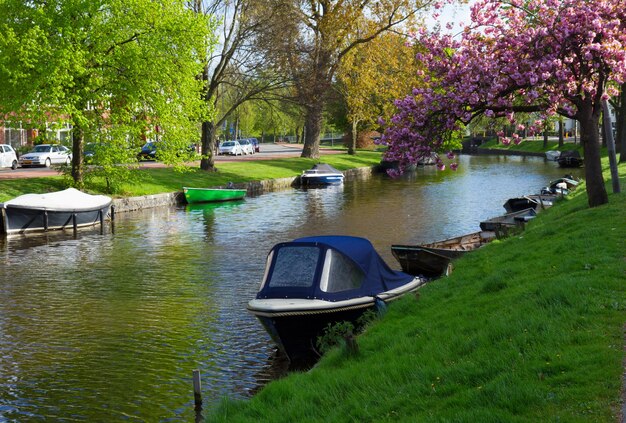 Canal dans la vieille ville de Haarlem au printemps, Hollande