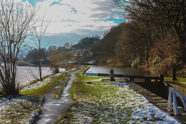 Canal par les arbres contre le ciel