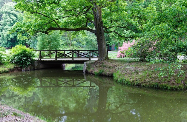 Canal avec pont en bois dans le parc de la ville d'été