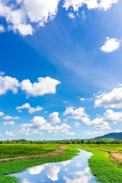 Canal et prairie verte avec ciel bleu et reflet dans l&#39;eau.