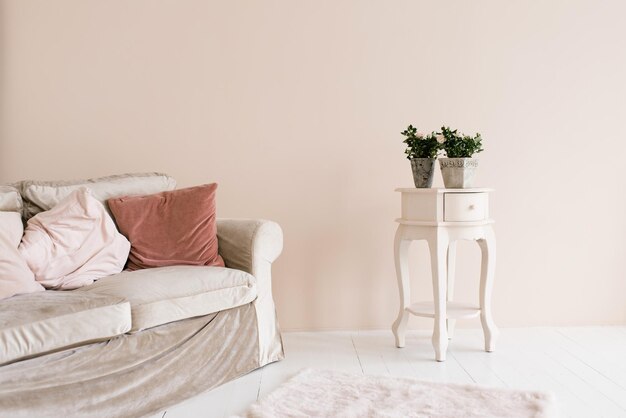 Canapé beige avec oreillers roses t plante d'intérieur en pot sur la table de chevet