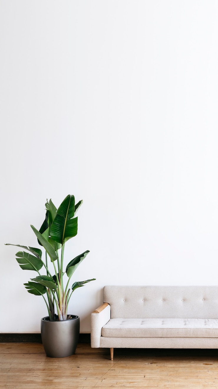 Photo canapé en tissu beige moderne et plante dans le salon