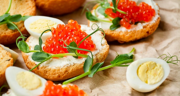 Les canapés au caviar rouge sont décorés de micro-verts et d'œufs de caille sur papier Gros plan Vue latérale BannerCopy space