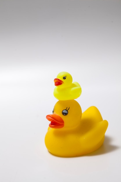 Photo canard en caoutchouc de maman et son canard sur sa tête isolé