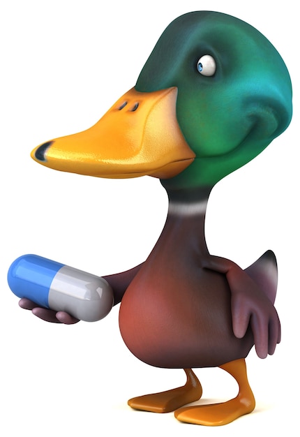 Canard