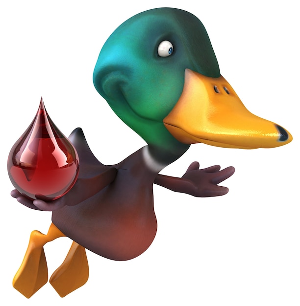 Canard