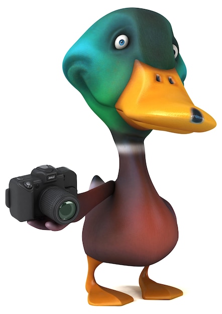 Canard