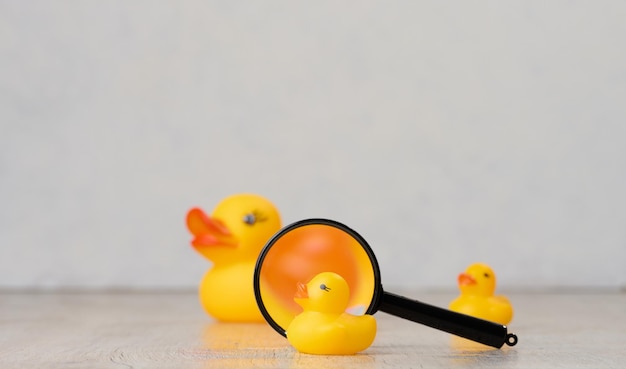 Des canards en caoutchouc jaunes sur un fond blanc, un jouet pour enfants.