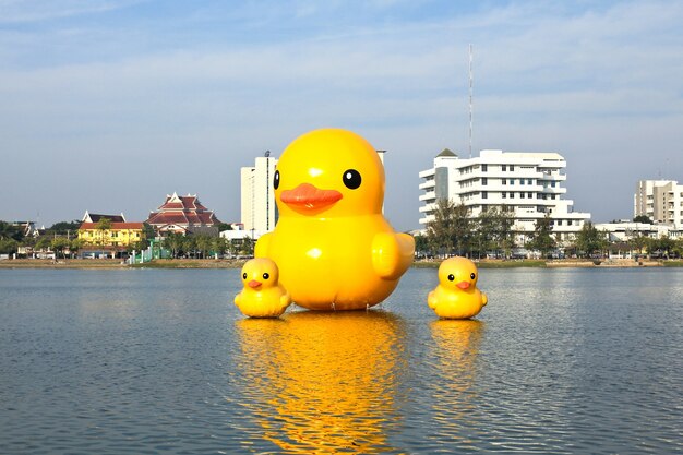 Les canards jaunes