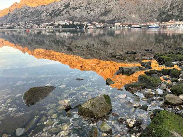 Canards de mer, mouettes, vagues de la baie, montagnes du Monténégro, ville de Kotor