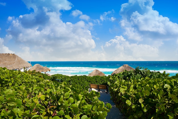 Cancun Delfines Beach à la zone hôtelière du Mexique