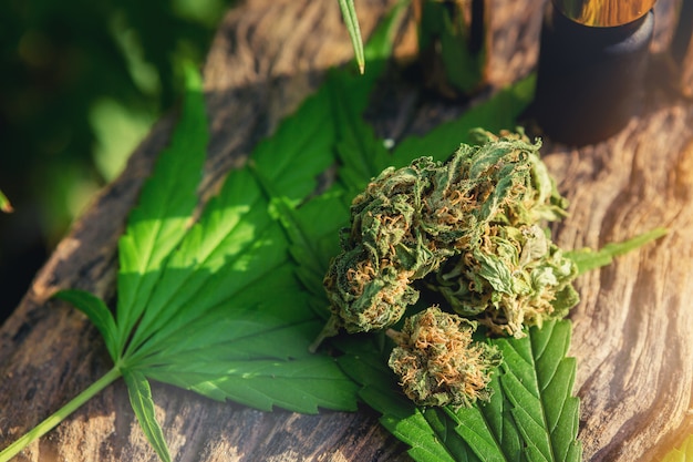 Photo cannabis médical marijuana sur table en bois avec un extrait d'huile essentielle, des boutons floraux et des feuilles.