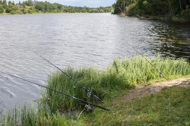 Une canne à pêche au bord du lac