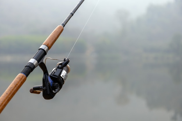 Canne à pêche avec soft-focus et sur la lumière