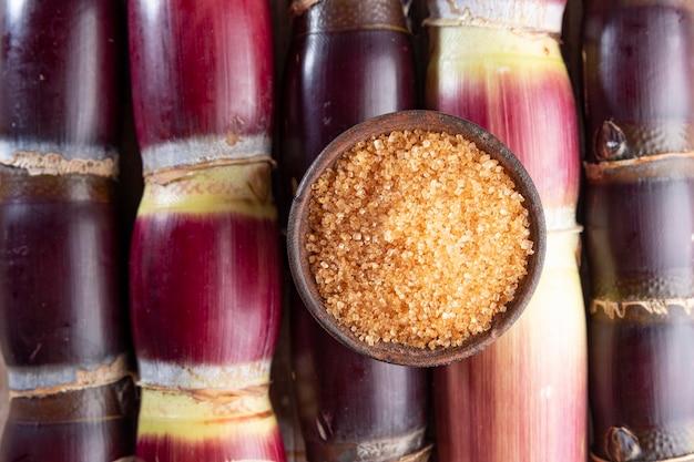 Canne à sucre et dérivés de cassonade et panela de Colombie